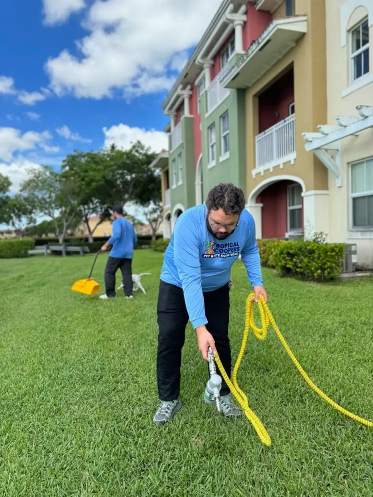 Tropical Scoopers team cleans yards in Miami while dogs are present.